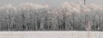 Filename=zima23_600.jpg
Filesize=60KB
Dimensions=600x226
Date added=Jan 15, 2010 zima23_600.jpg