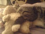 DSC00176.JPG