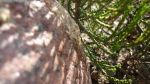 Filename=Shadow_by_ewanica.jpg
Filesize=52KB
Dimensions=600x338
Date added=Jul 21, 2008 Shadow_by_ewanica.jpg