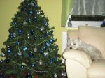 Filename=excel1.jpg
Filesize=112KB
Dimensions=800x600
Date added=Feb 27, 2009 excel1.jpg