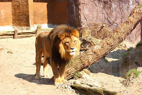 ZOO w Ueckermünde