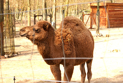 ZOO w Ueckermünde