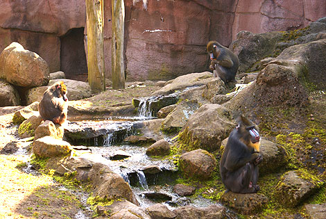 ZOO w Ueckermünde