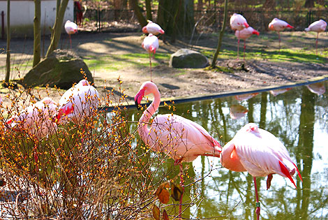 ZOO w Ueckermünde